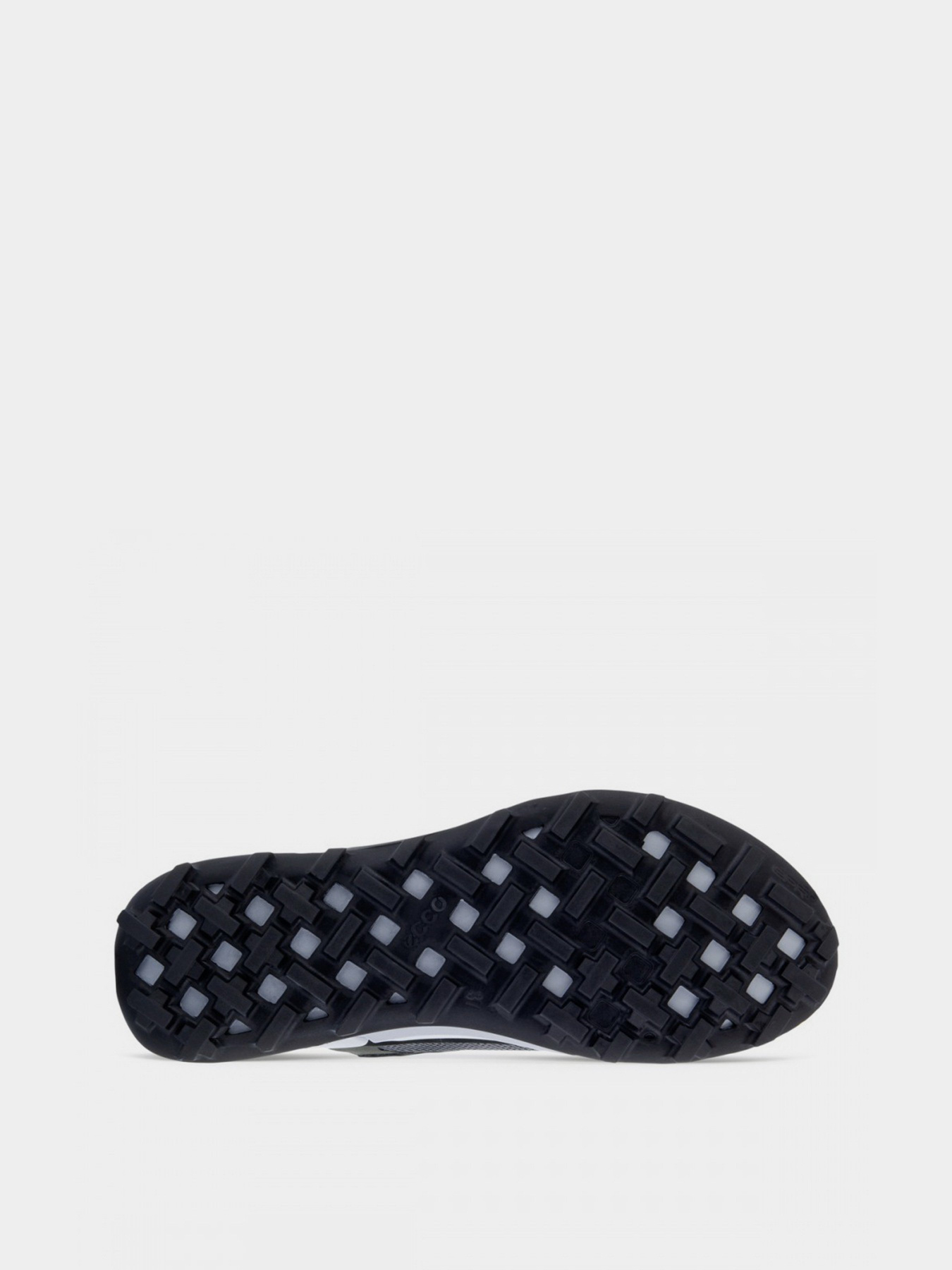 Кросівки ECCO BIOM 2.1 x MOUNTAIN модель 82381360568 Фото