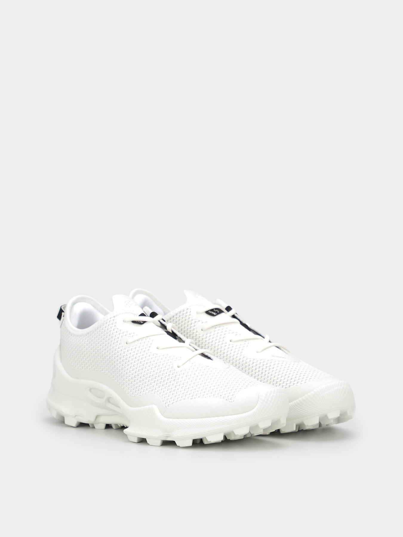 Кросівки ECCO Biom C модель 80323350236 Фото