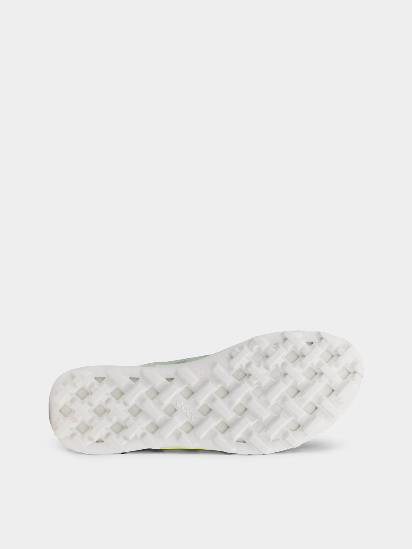 Кроссовки ECCO Biom 2.1 X Mountain модель 82385360897 Фото