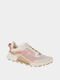 Кроссовки аутдор ECCO Biom 2.1 X Mountain модель 82385360898 Фото