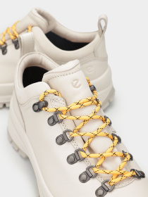 Ботинки ECCO Track 30 модель 22071358261 Фото