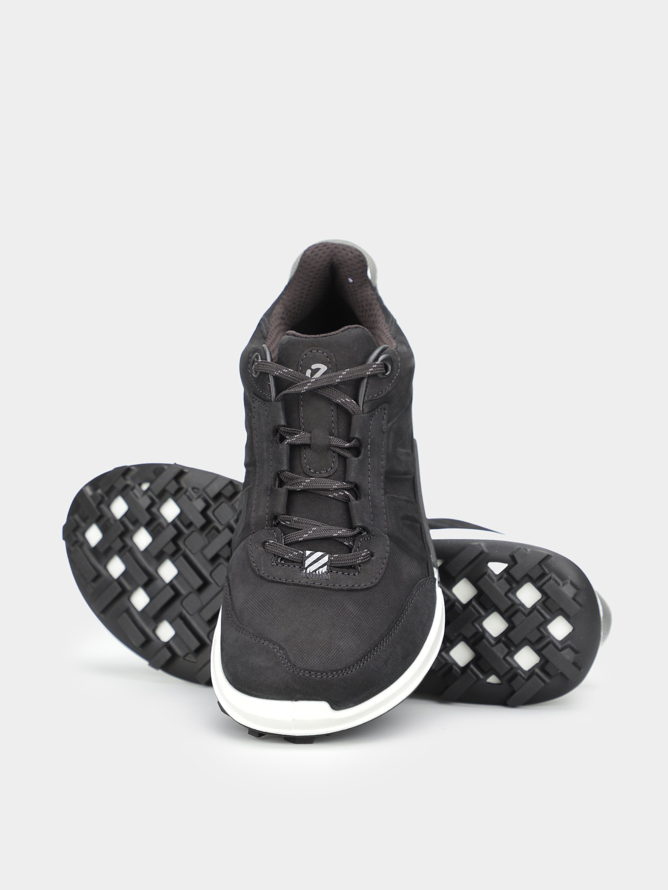 Кроссовки ECCO Biom 2.1 x Mountain модель 82386302001 Фото