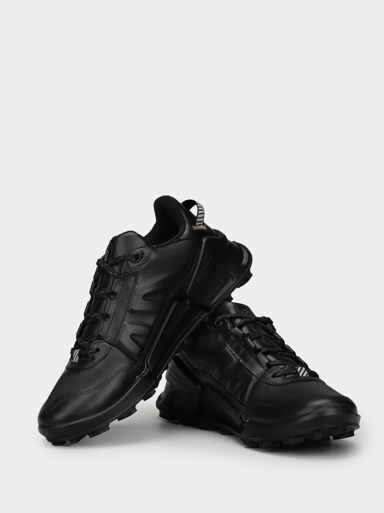 Кроссовки ECCO Biom 2.1 x Mountain модель 82387301001 Фото