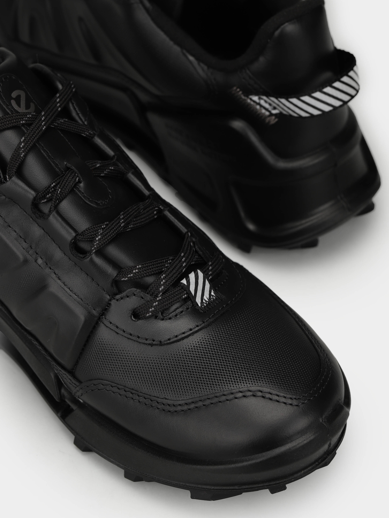 Кроссовки ECCO Biom 2.1 x Mountain модель 82387301001 Фото