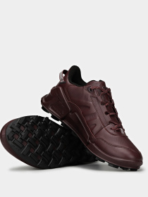 Кроссовки ECCO Biom 2.1 x Mountain модель 82387301385 Фото