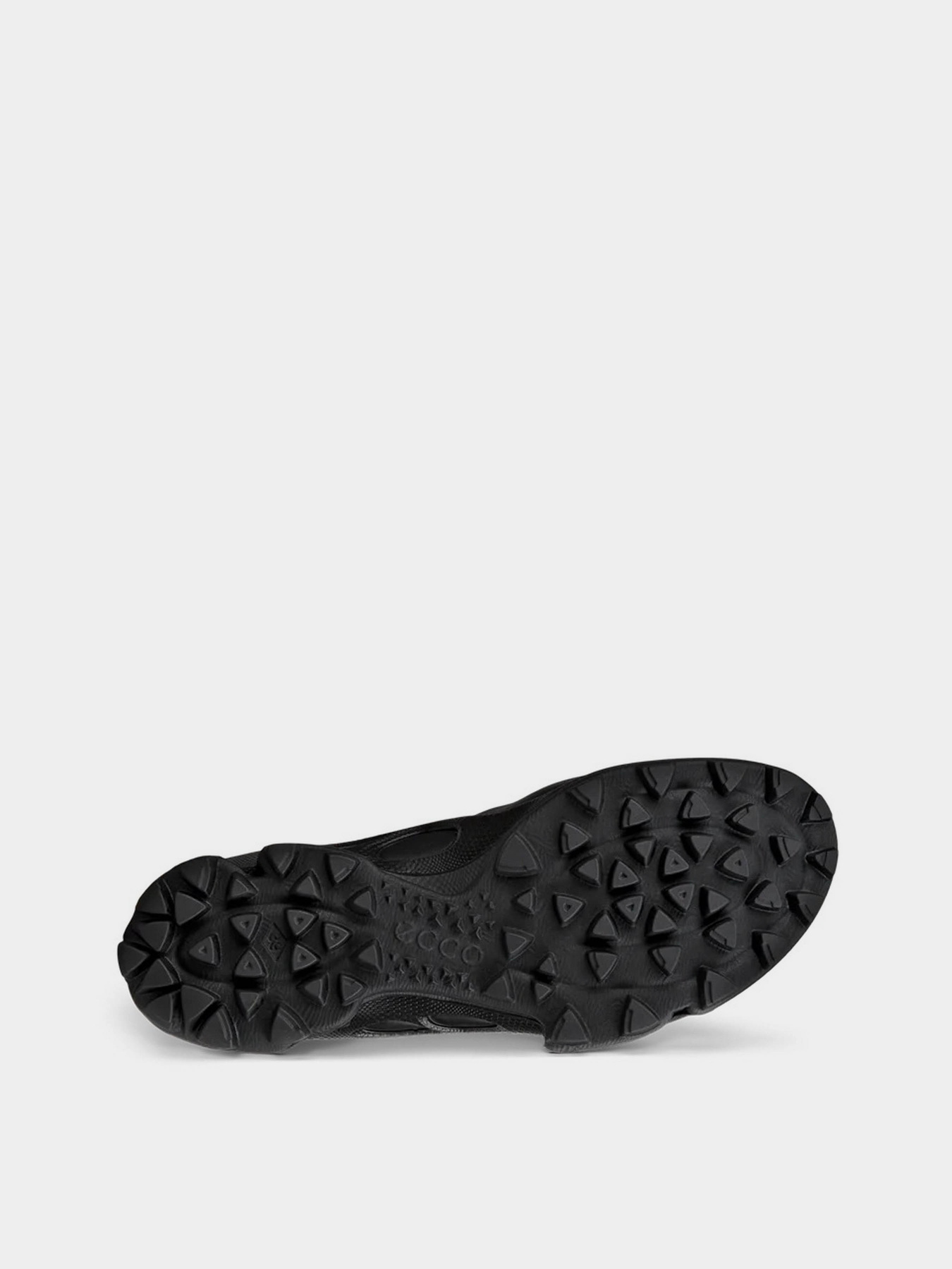 Кроссовки ECCO Biom C-Trail модель 80336351052 Фото