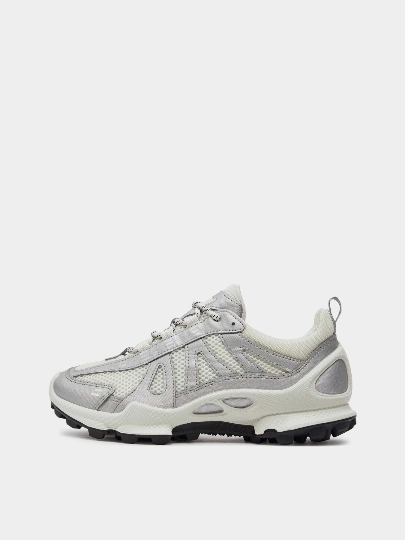 Кроссовки ECCO Biom C-Trail модель 80322351366 Фото