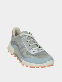 Кроссовки аутдор ECCO Biom 2.1 x Mountain модель 82385361113 Фото