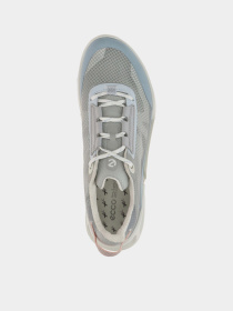 Кроссовки аутдор ECCO Biom 2.1 x Mountain модель 82385361113 Фото