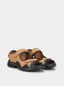 Сандалии ECCO Hike модель 22120302291 Сандалии ECCO Hike модель 22120302291 Фото