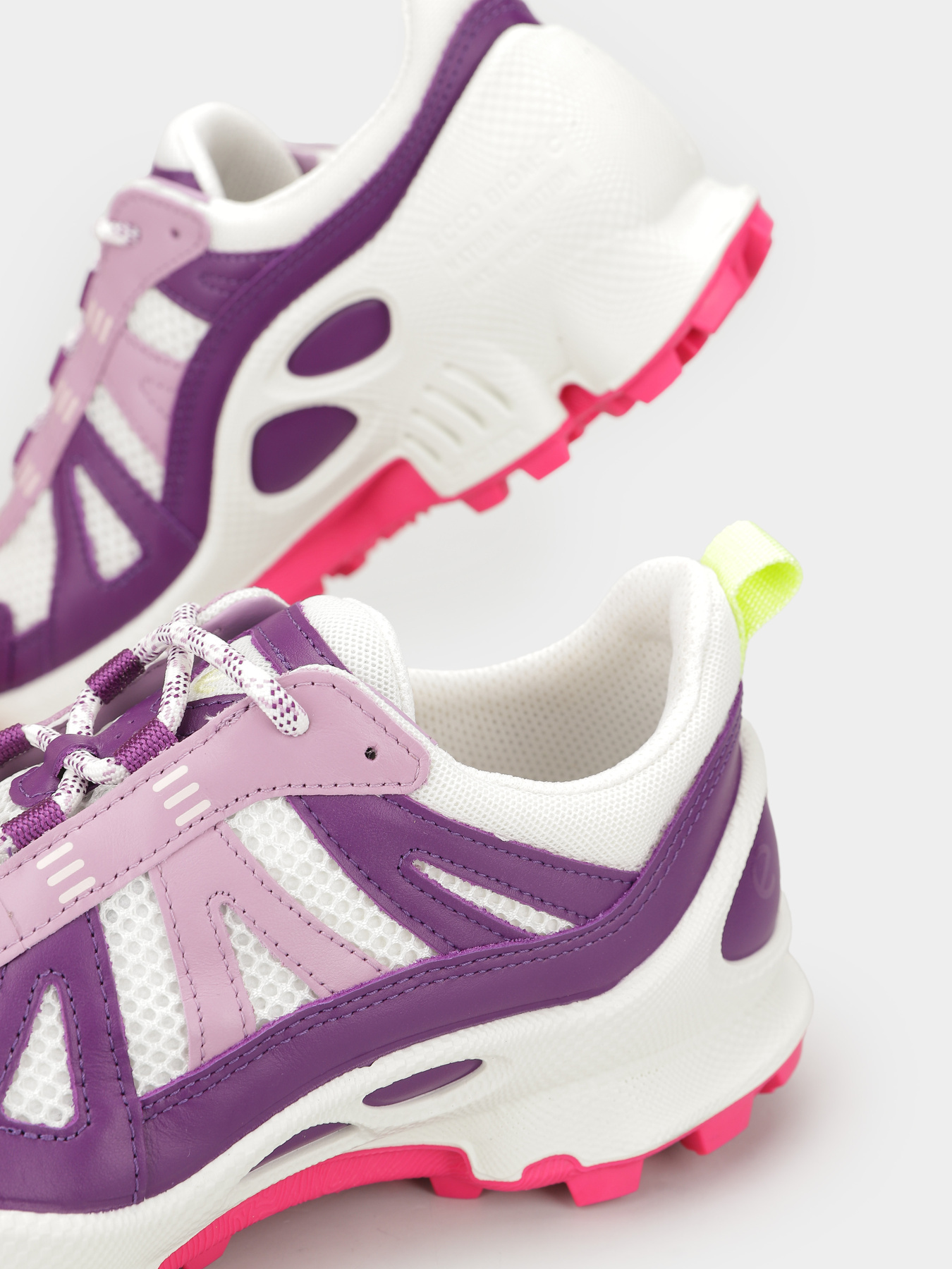 Кроссовки ECCO Biom C-Trail модель 80322361133 Фото