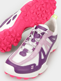 Кроссовки ECCO Biom C-Trail модель 80322361133 Фото