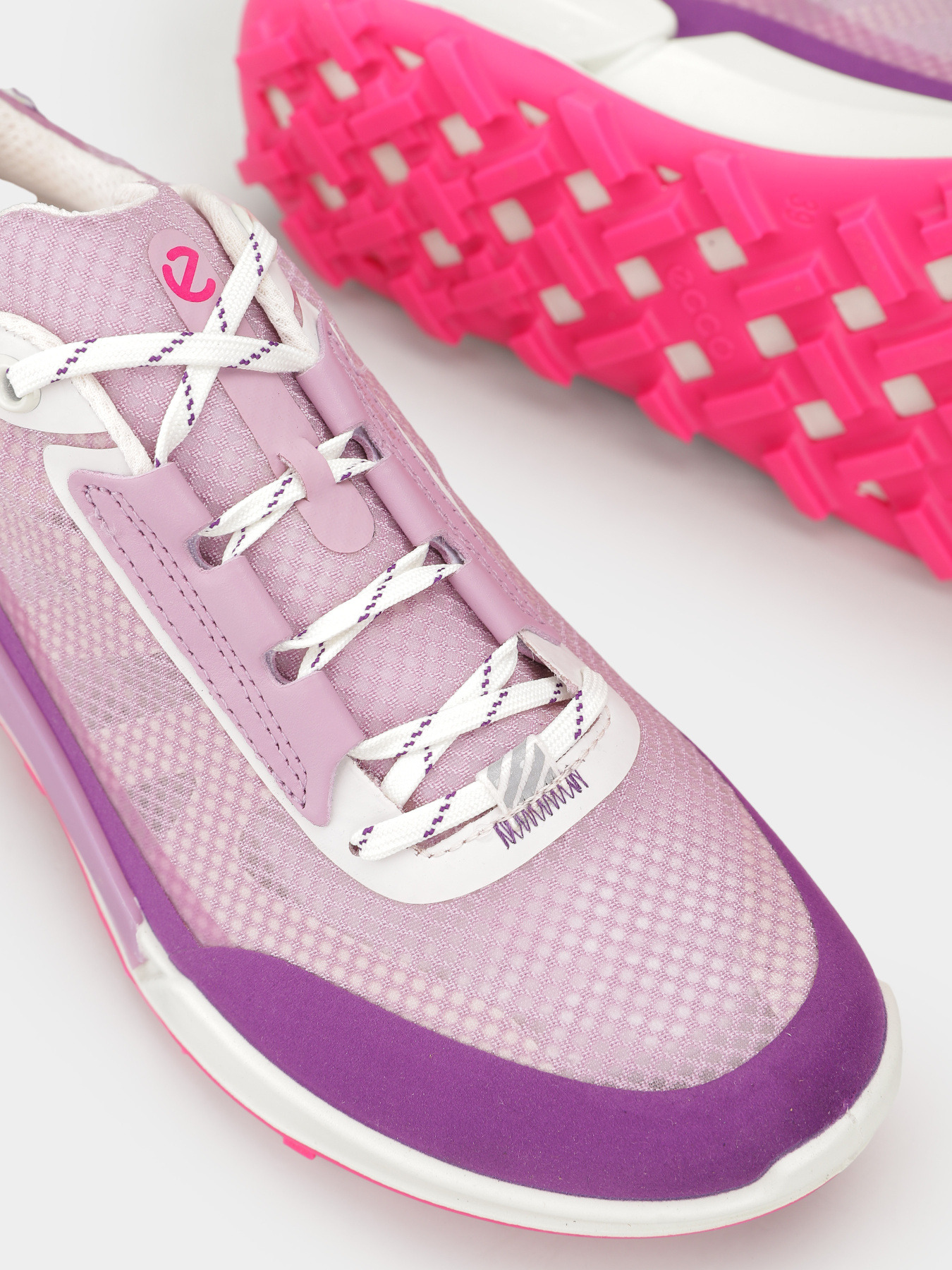 Кроссовки ECCO Biom 2.1 x Mountain модель 82385361112 Фото