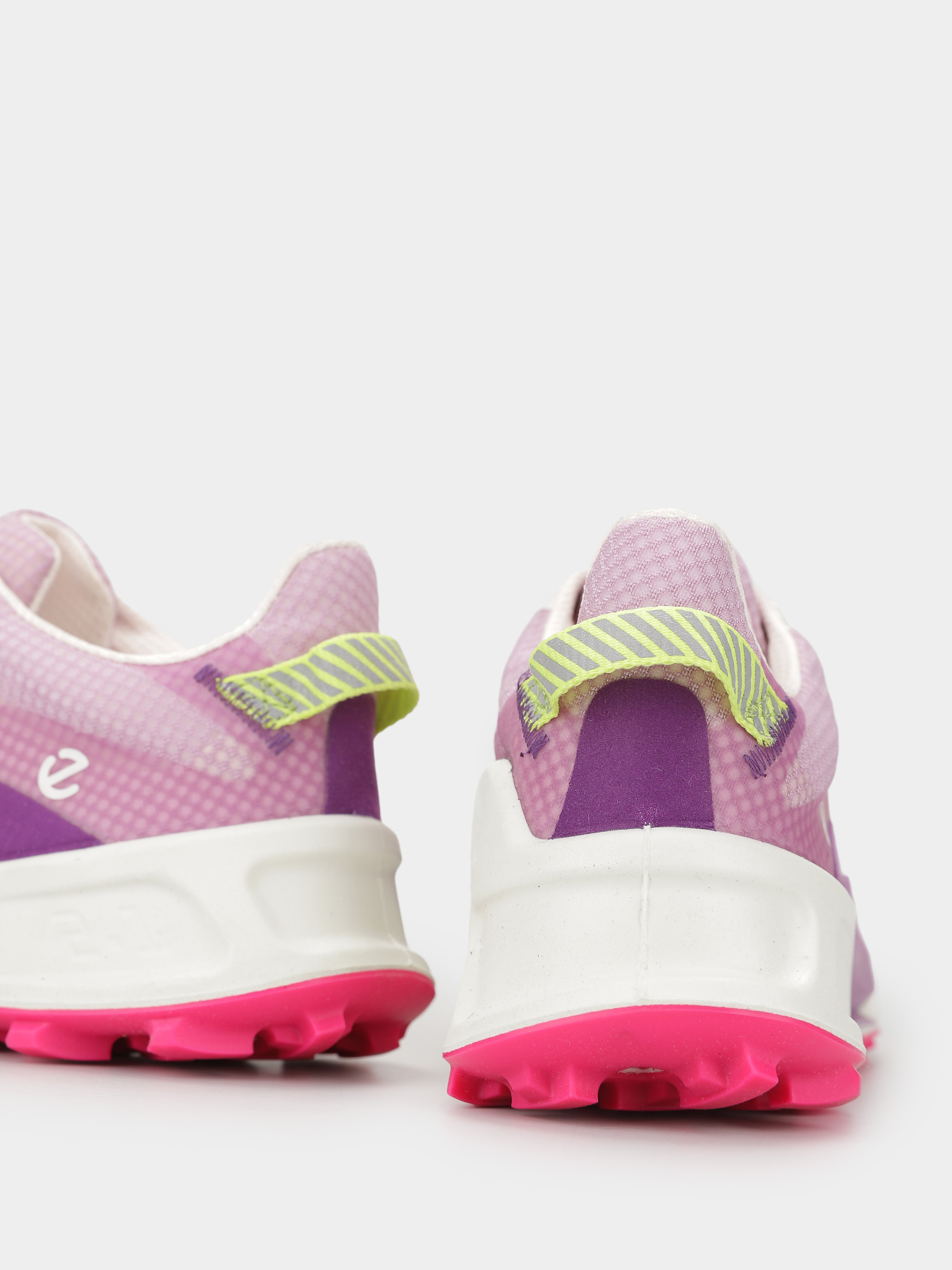 Кроссовки ECCO Biom 2.1 x Mountain модель 82385361112 Фото