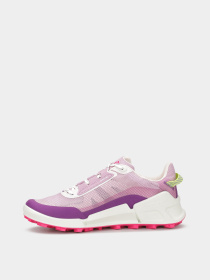 Кроссовки аутдор ECCO Biom 2.1 x Mountain модель 82385361112 Фото