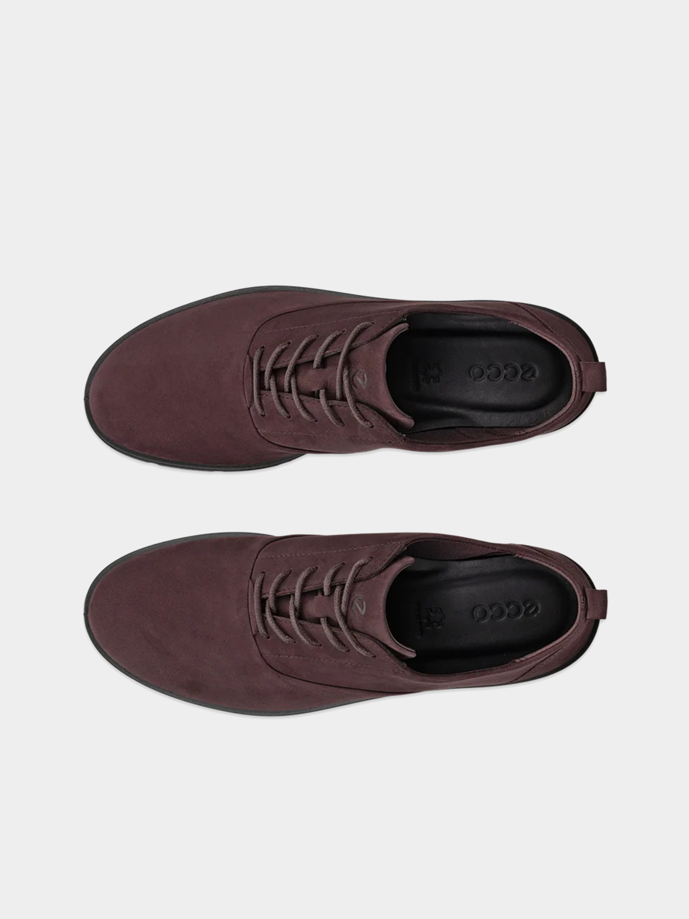 Туфлі ECCO Bella модель 28231361290 Фото