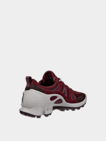 Кросівки ECCO Biom C-trail модель 80346361424 Фото