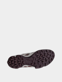 Кросівки ECCO Biom C-trail модель 80346361424 Фото