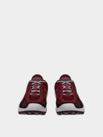 Кросівки ECCO Biom C-trail модель 80346361424 Фото