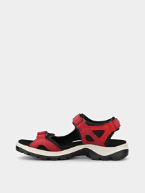 ECCO модель 06956356447 Фото