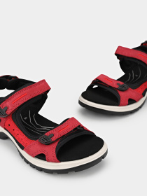 ECCO модель 06956356447 Фото