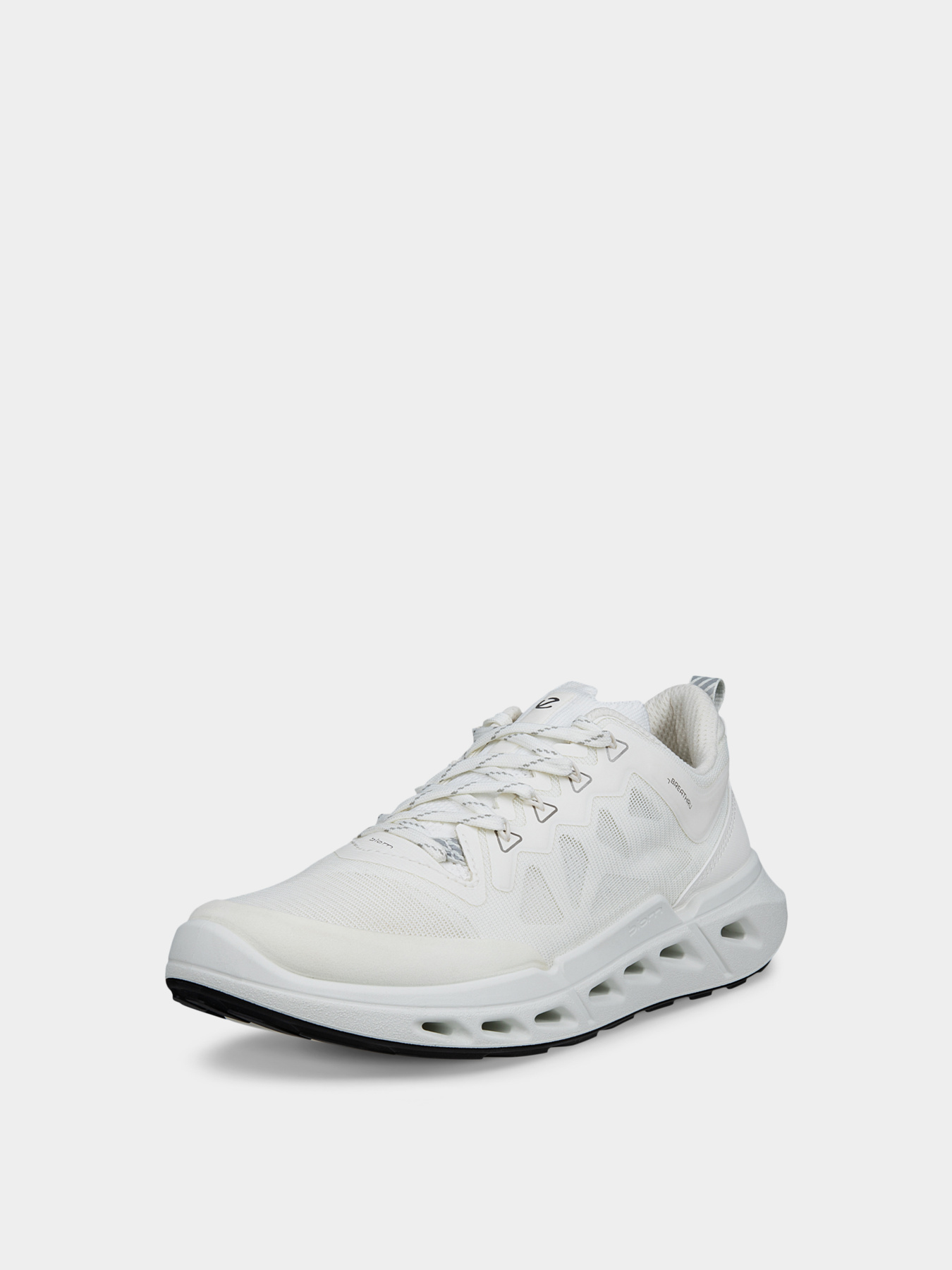 Кроссовки ECCO BIOM 720 W модель 85031351969 Фото
