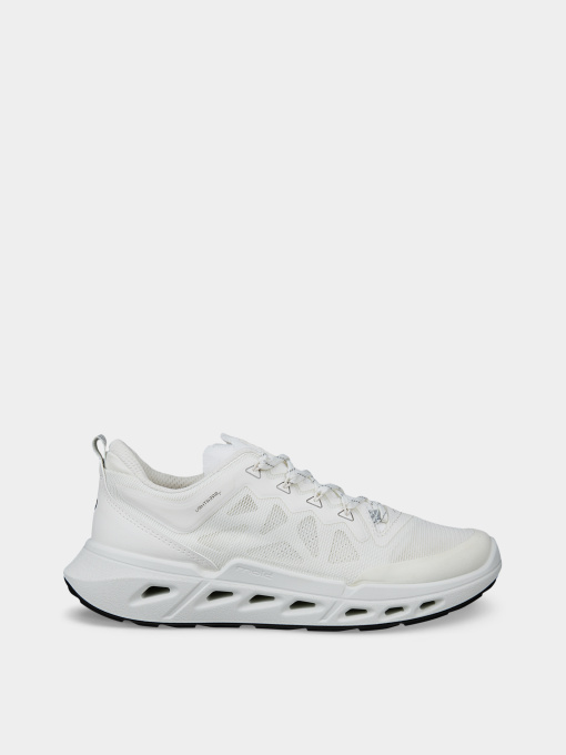 Кроссовки ECCO BIOM 720 W модель 85031351969 Фото