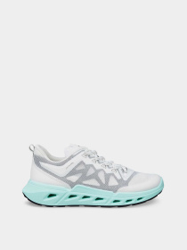 Кроссовки ECCO ECCO BIOM 720 W модель 85031353298 Фото