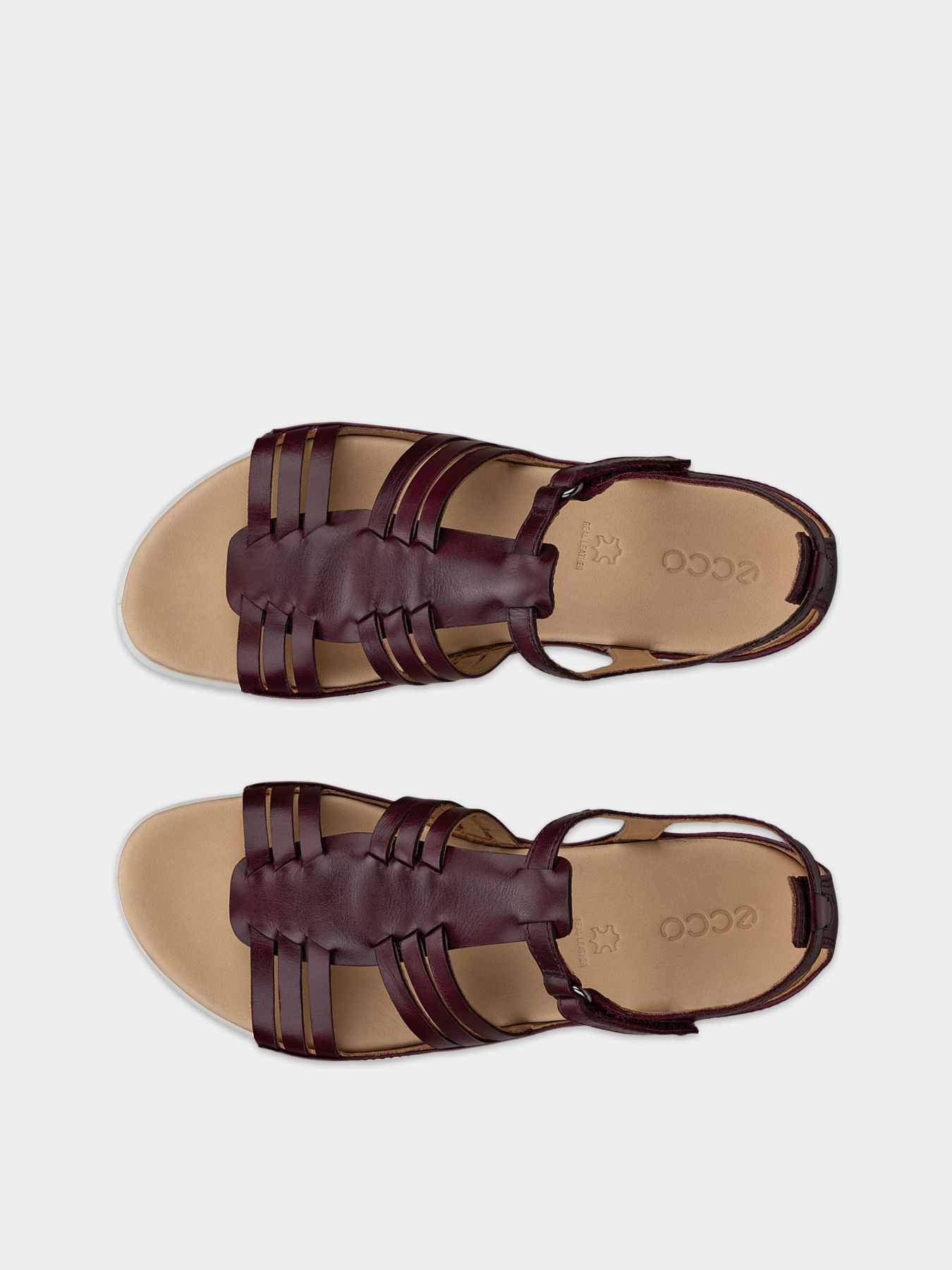 Сандалії ECCO ECCO FLASH модель 24423361291 Фото