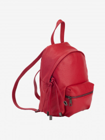 Рюкзак Regina Notte модель 2000000020099 Фото