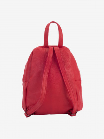 Повседневный рюкзак Regina Notte модель 2000000020099 Фото