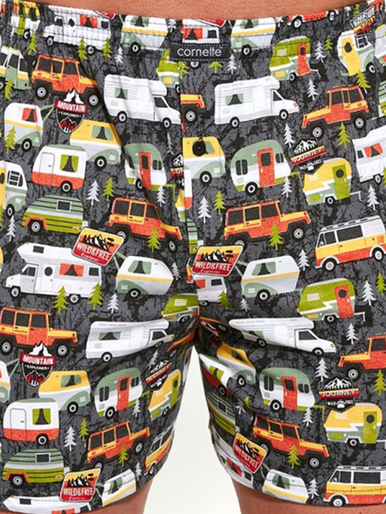 Трусы Cornette модель 011-120 Фото