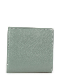 Кошелек Bella Bertucci модель 893.207 Фото