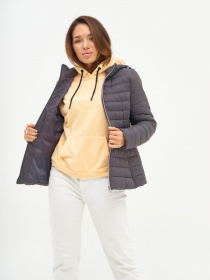 Вітровка AVECS модель 50267-94 Фото