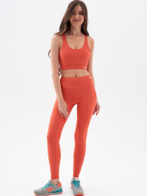 Леггинсы спортивные AVECS модель 30392-43 Фото