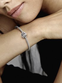 Класичні PANDORA Модель 791507C00 Фото