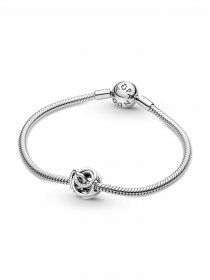 Класичні PANDORA Модель 791507C00 Фото