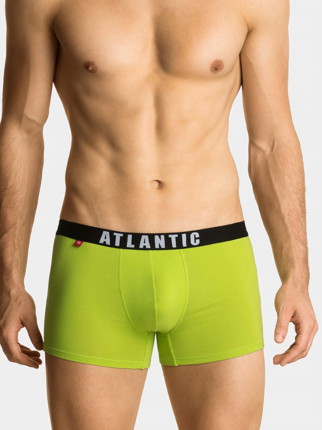 Набір трусів Atlantic модель 3MH-011_CZA_GRF_LIMC Фото