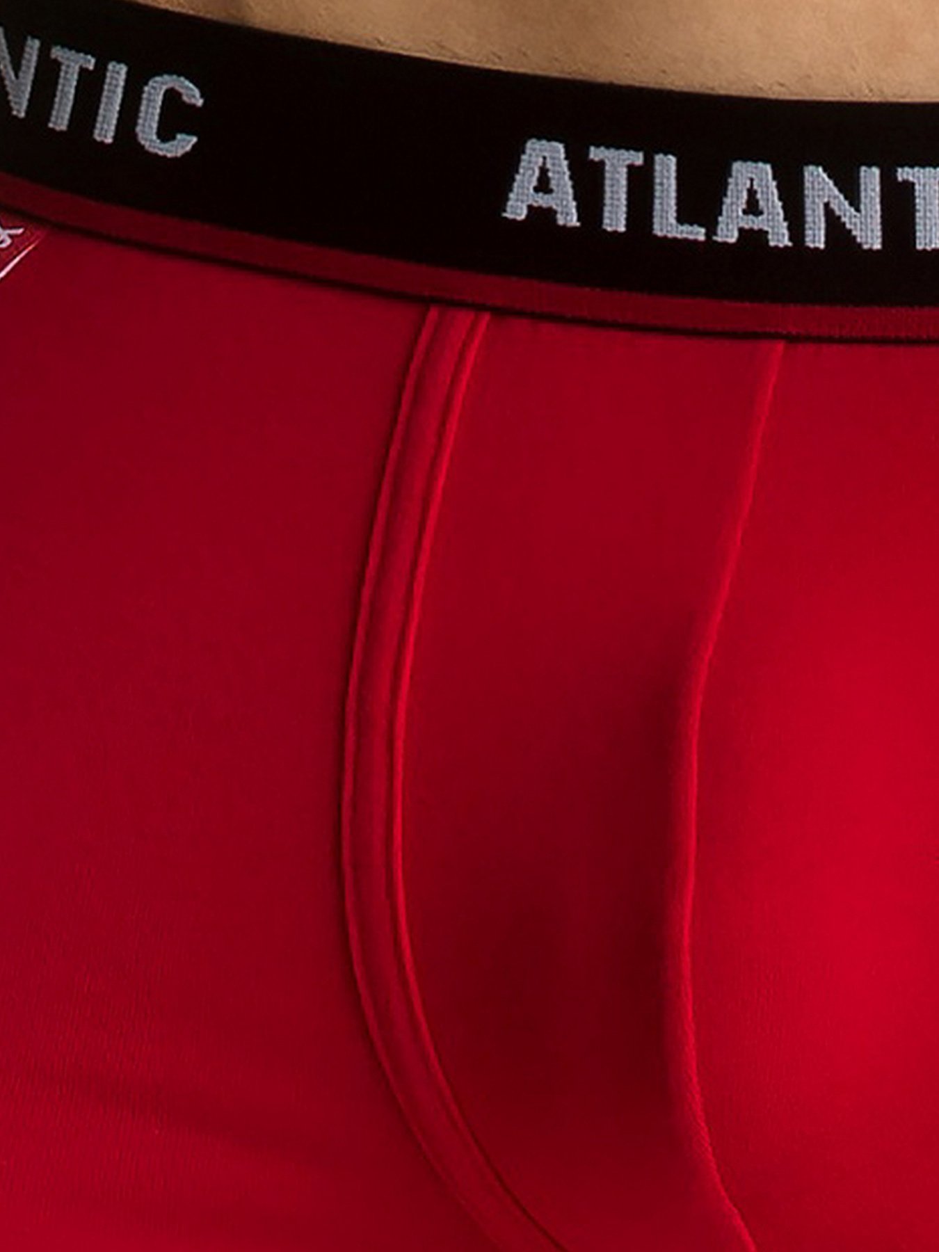 Набір трусів Atlantic модель 3MH-042_CZA_GRF_CZE Фото