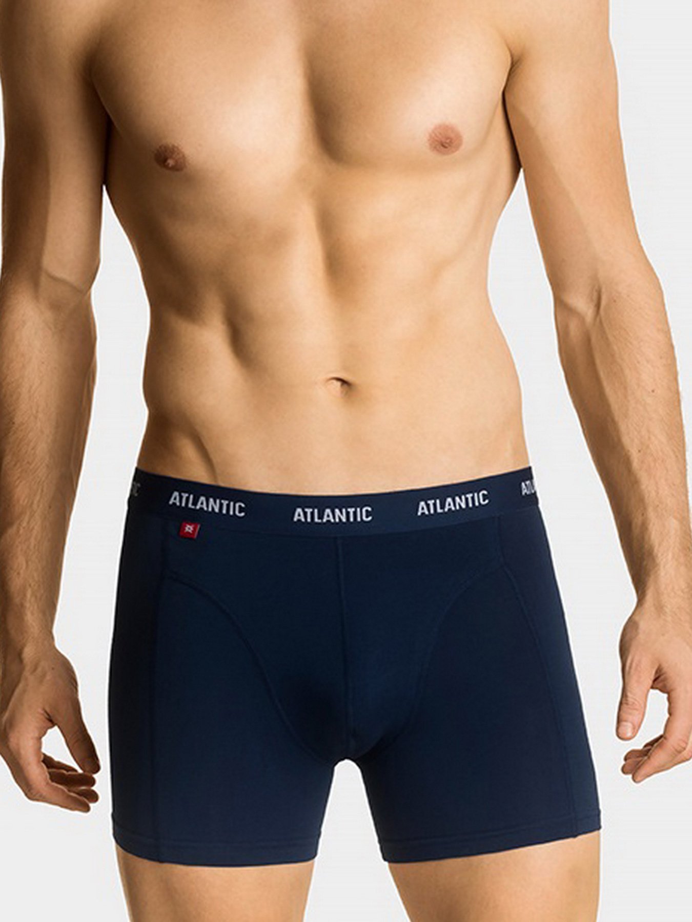 Набір трусів Atlantic модель 3MH-047_TUR_NIEC_GRA Фото