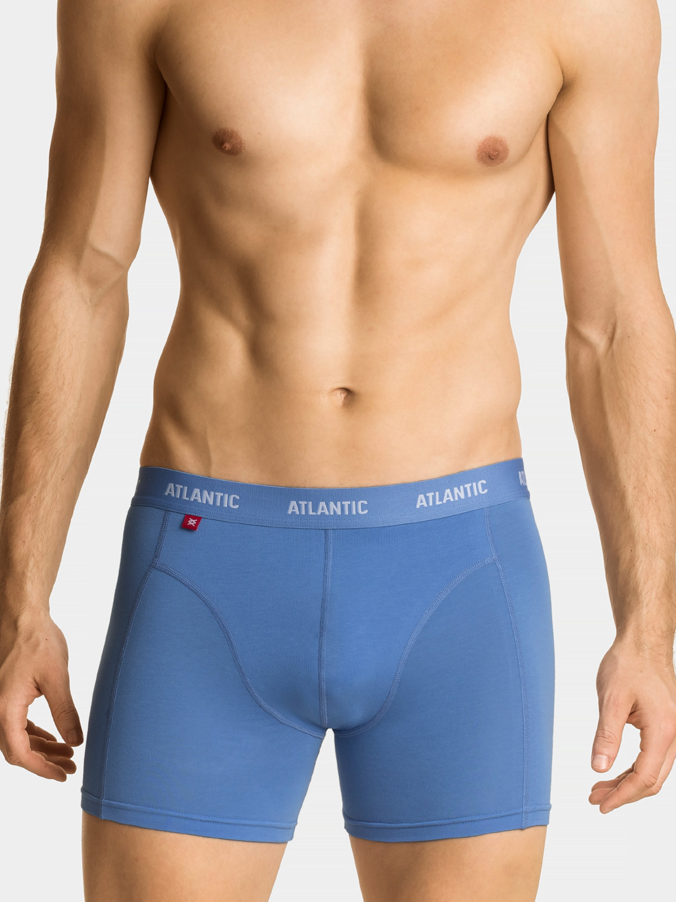 Набір трусів Atlantic модель 3MH-047_NIEJ_GRF_CZA Фото