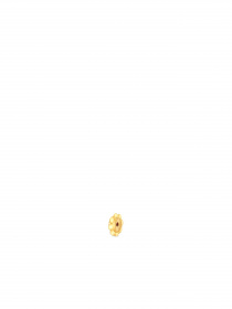 Серьги-гвоздики TOUS модель 710010280 Фото