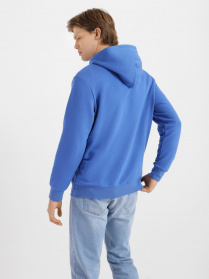 Худи Роза модель 211073 Фото