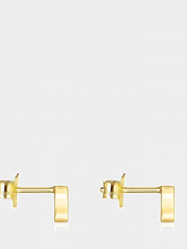 Пусети TOUS модель 018113090 Фото