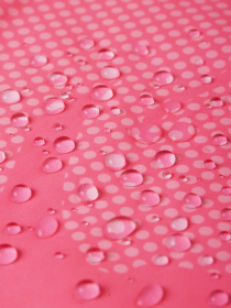 Демісезонна куртка REIMA модель 531506_4425 Фото