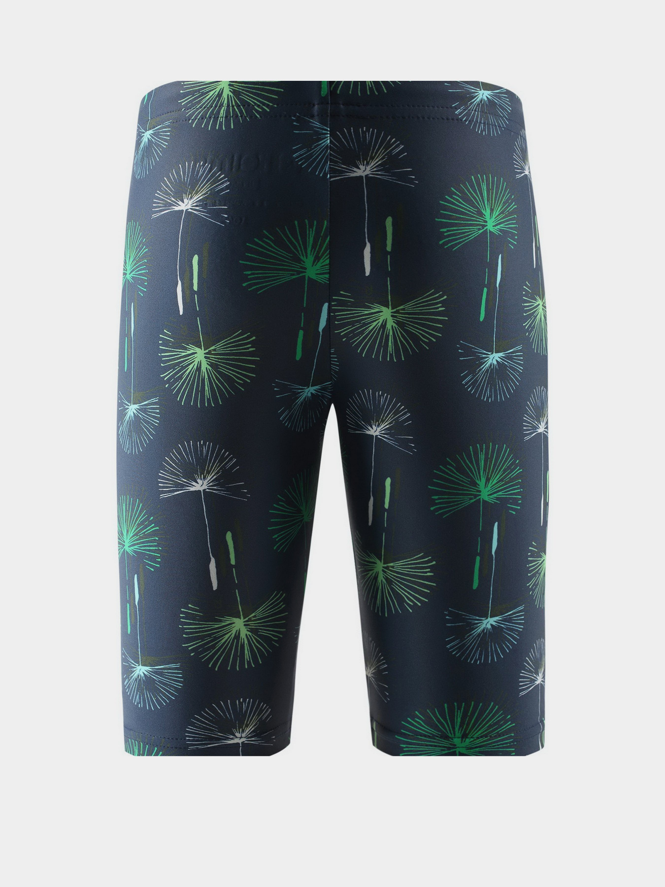 Плавки REIMA модель 536491B_6981 Фото