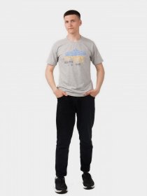 Футболка Наталюкс модель 41131920450 Фото