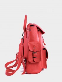 Рюкзаки DARICHI модель 3NSL95961035N00114 Фото