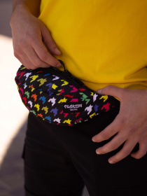 Поясна сумка Custom Wear модель cw-ban-2841 Фото