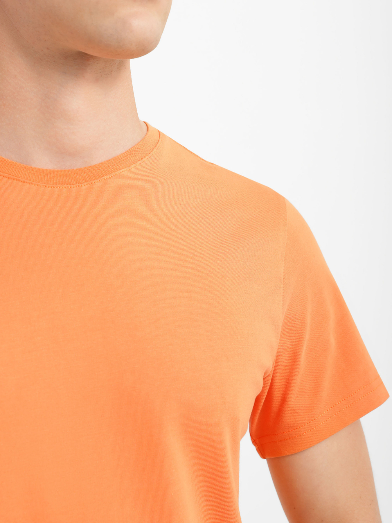 Футболка Роза модель 201234_1 Футболка Роза модель 201234_1 Фото